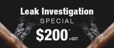 Leak Investigation Discount Tuscany Estate